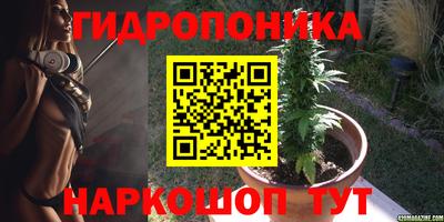 мет Новозыбков