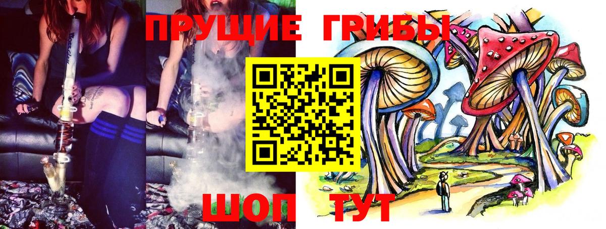Псилоцибиновые грибы GOLDEN TEACHER Ухта